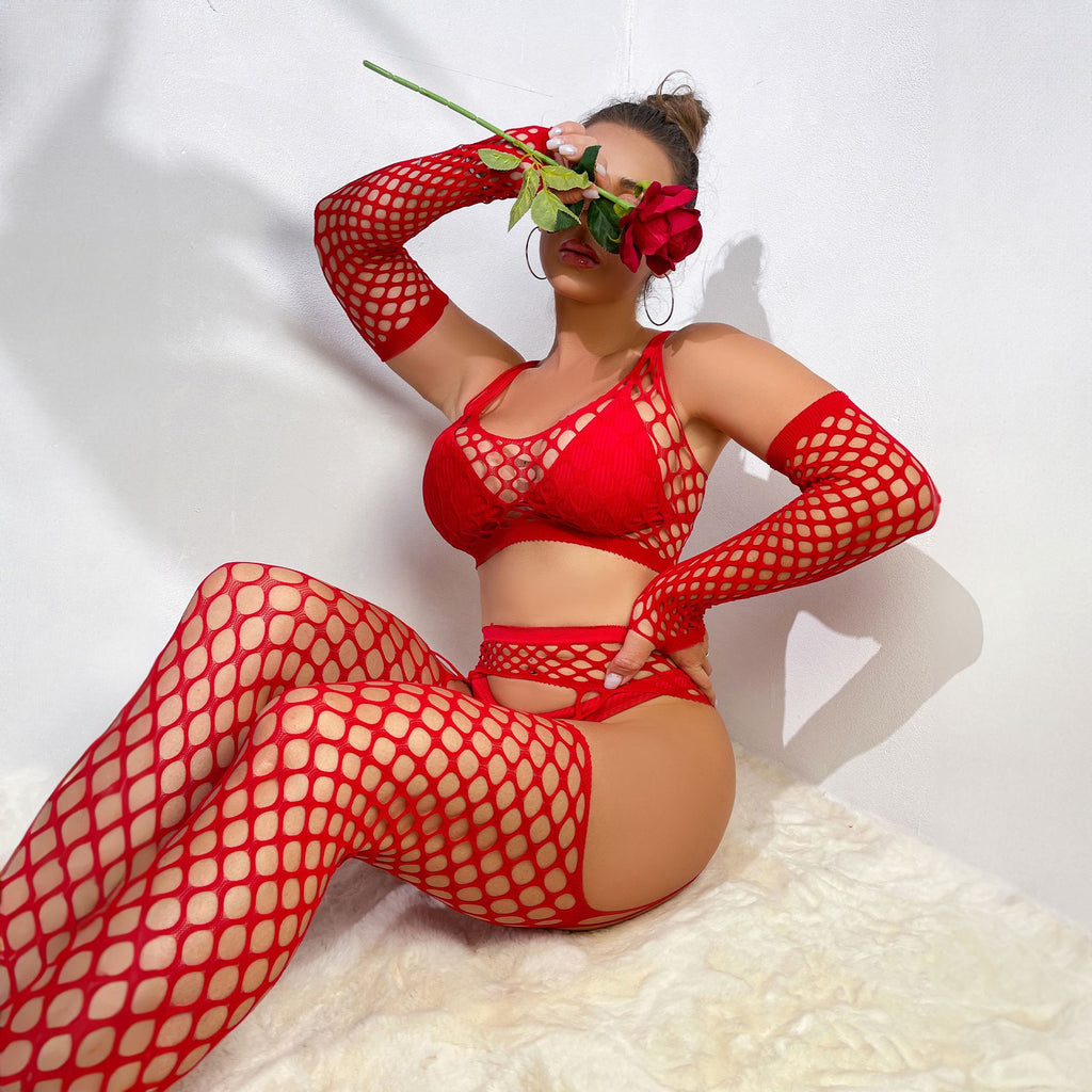 Secret Desire Fishnet Garter Lingerie Set